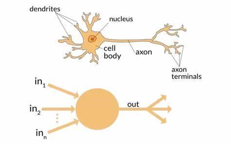 Neuron vs.