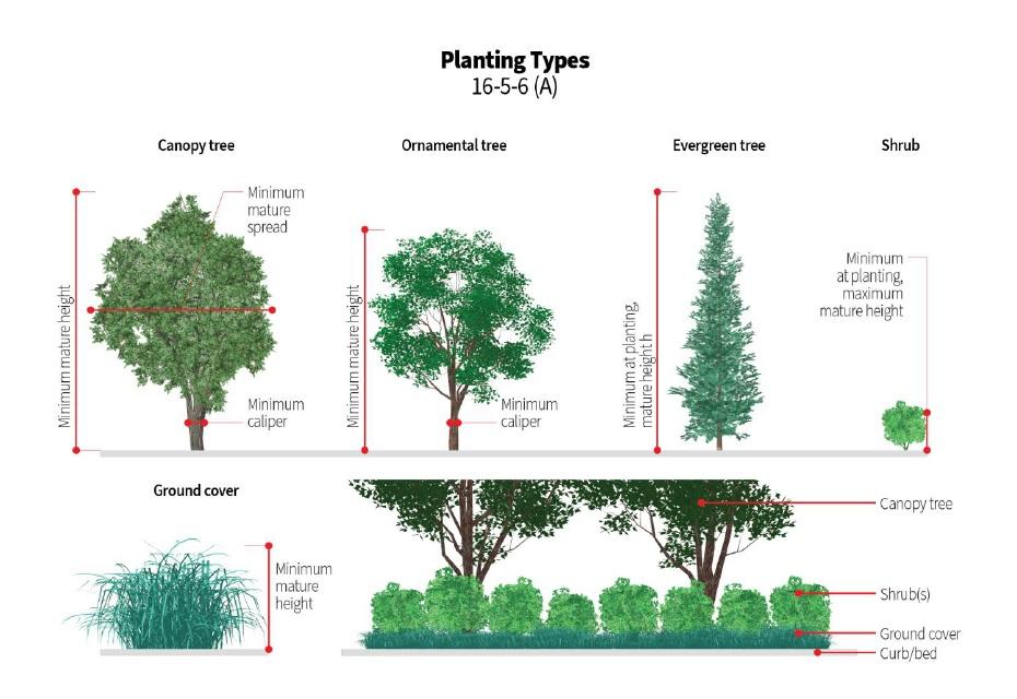 Planting Types (16-5-6(A)) (B) Required on-site landscape areas.