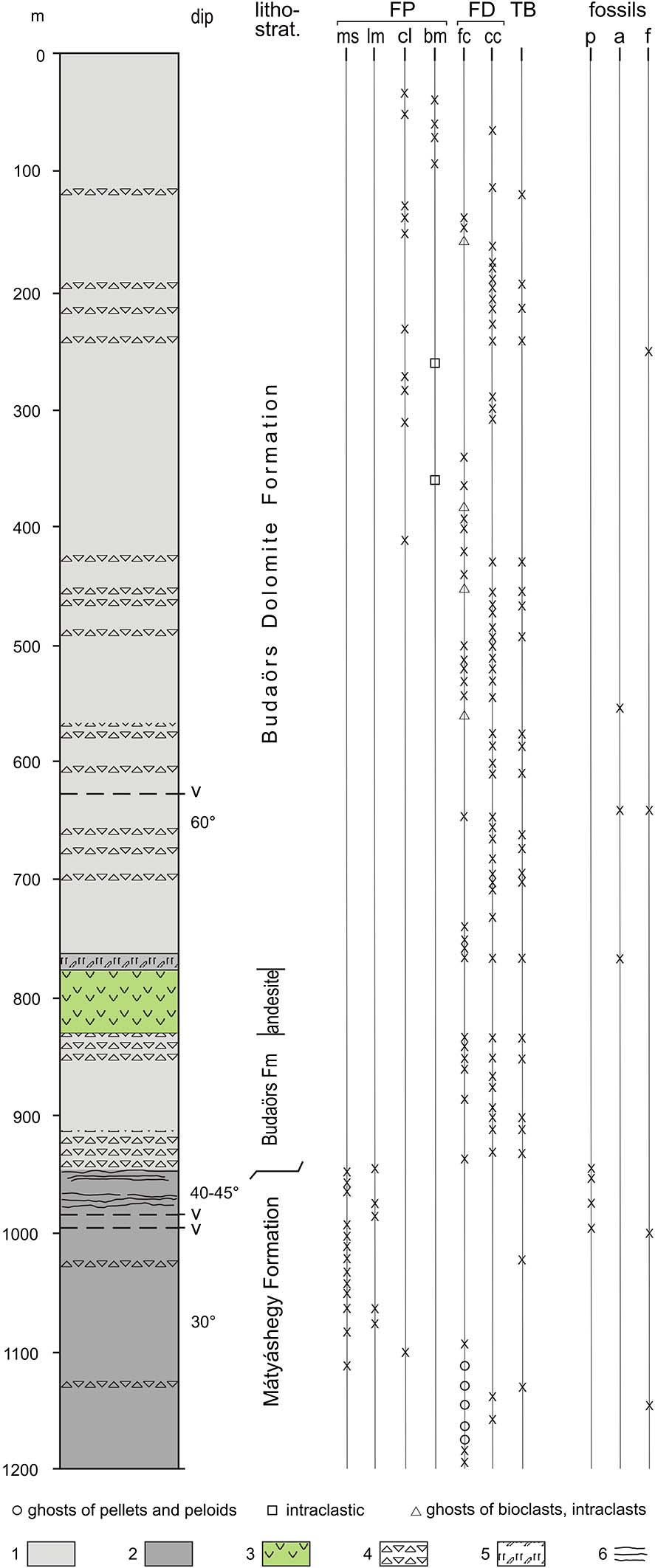 208 Haas et al. Fig. 4 Stratigraphic column of the Budaörs-1 core.