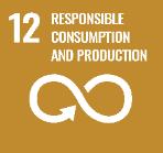 will directly support achievement of the UN s 1 Sustainable Development goals: Goal 7: Ensure access to affordable, reliable, sustainable and modern energy for all Goal 12: Ensure sustainable