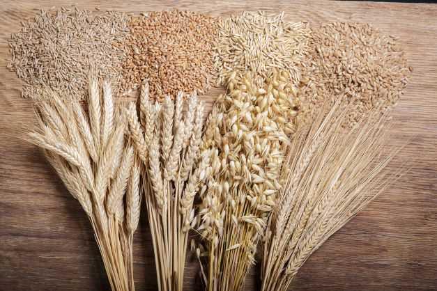 This growth in popularity comes from claims that not eating gluten helps with a range of illnesses, even in people who do not have coeliac disease.