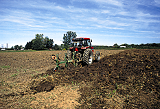 Instructions for Compost Used as a Soil Amendment for: Field Nursery Production Step 1: Step 2: Step 3: Incorporate compost to a depth of 6-10 inches, with deeper tillage necessary for high