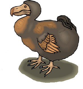 And like many other flightless birds they have solid bones, instead of the lightweight hollow bones of flying birds. Perhaps one of the more unusual-looking flightless birds was the Dodo bird.