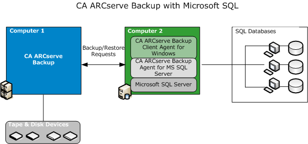 Architectural Overview Architectural Overview You can install CA ARCserve Backup on the same host as the Agent for Microsoft SQL Server for local operation, or on separate systems.