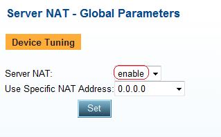 Configure NAT Server NAT 1. From the menu, select AppDirector NAT Server NAT Global Parameters to display the Server NAT - Global Parameters page similar to the one shown. 2.