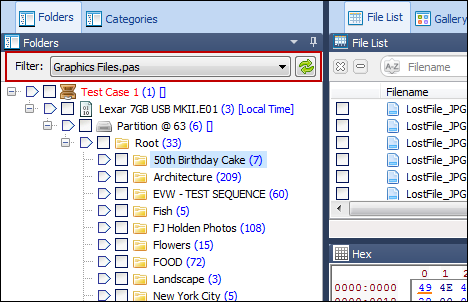 C h a p t e r 8 - D a t a V i e w s 75 P a g e Figure 49, Tree view filter A tree view filter is used to display only the folders which match set criteria. For example, applying the Graphics Files.