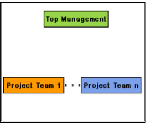 ORGANIZATION STRUCTURE LECTURE NOTE 37 Usually every software development organization handles several projects at any time.