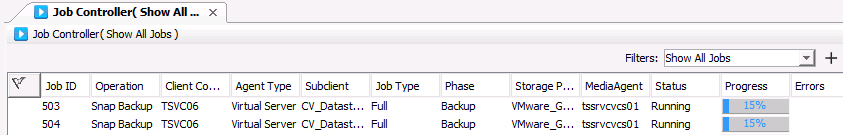 3. When the Backup Options window appears, select Full for the backup type.