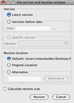 Before the restore starts, the client will ask you where you want to store the restored data. You can choose between the Default Location, the Original Location or a Selected Location.