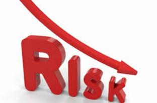 Minimize Risk YOUR LOGO HERE Internal Review Minimize Risk! 1.