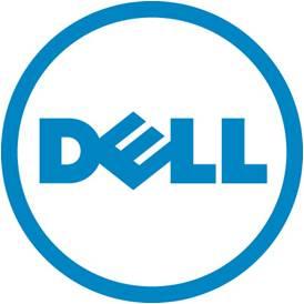 This Dell technical white paper describes the different types of