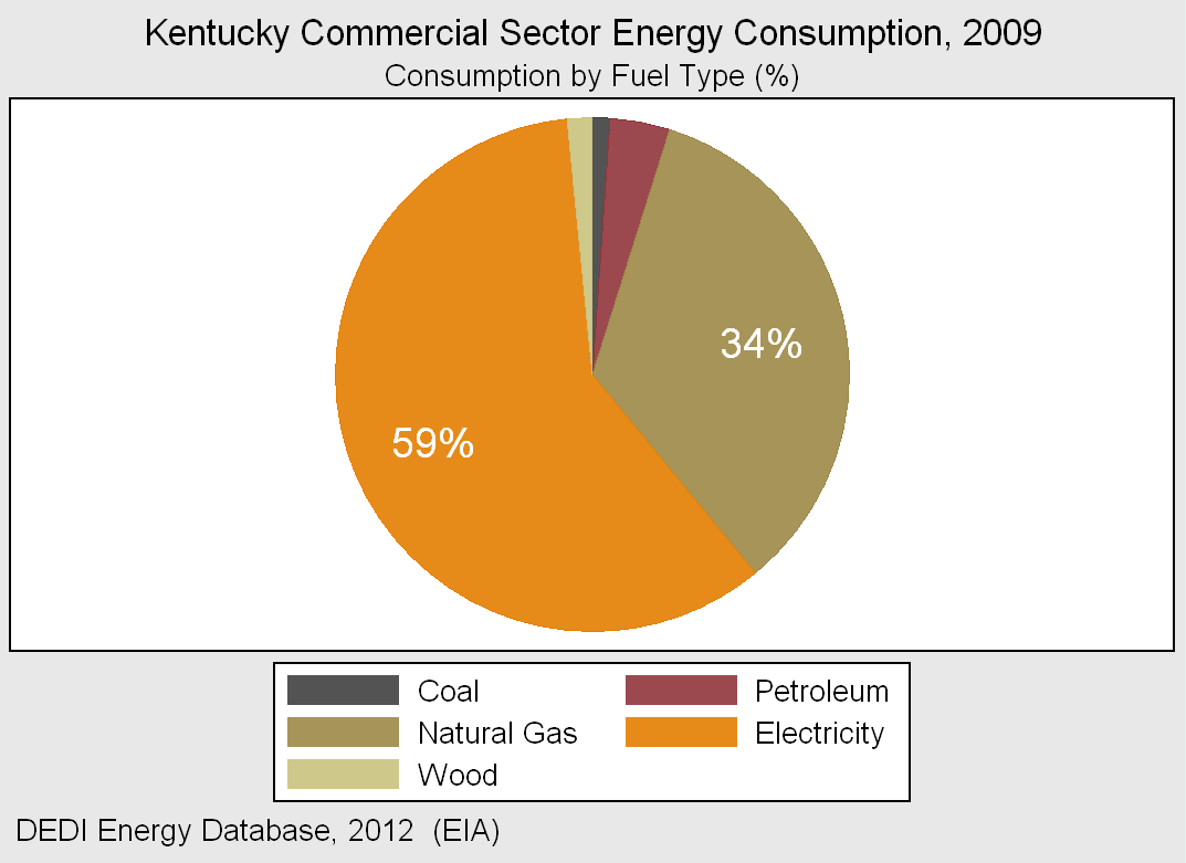 Kentucky Energy Consumption Fuel Type Billion Btu Percentage Total 498,100 100% Petroleum 187,954 38% Electricity 148,722 30% Natural Gas 102,210 21% Coal 43,407 9% Wood Products 13,824 3% Fuel Type