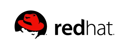 RED HAT ENTERPRISE LINUX OPENSTACK PLATFORM HYPERVISOR SUPPORT Red Hat Enterprise Virtualization Hypervisor *Red Hat Enterprise Linux KVM