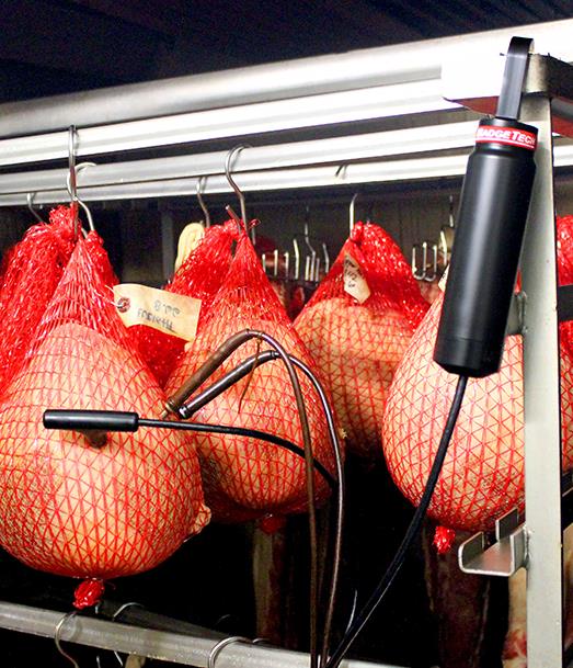 RFOT Wireless Data Logger Wireless Meat Temperature Monitoring