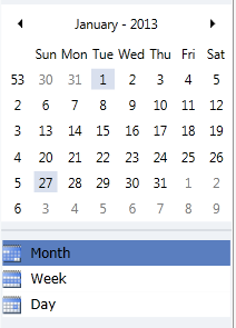 1 Advanced Functionalities Utilization Sheet 3. Calendar: By default PSA will display the current month.