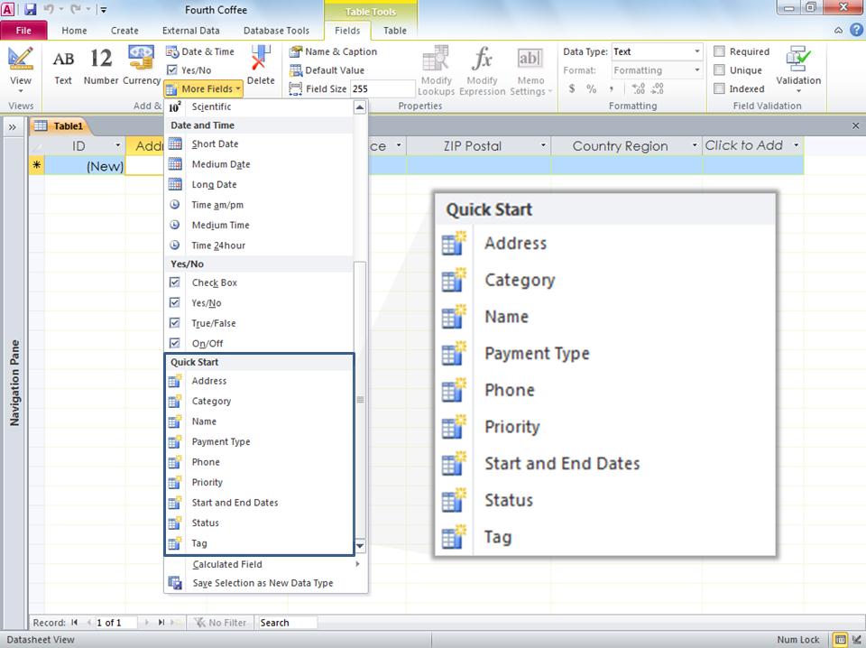 Figure 6 Use Quick Start fields to add groups of fields to your table. Add new fields in just a few clicks.
