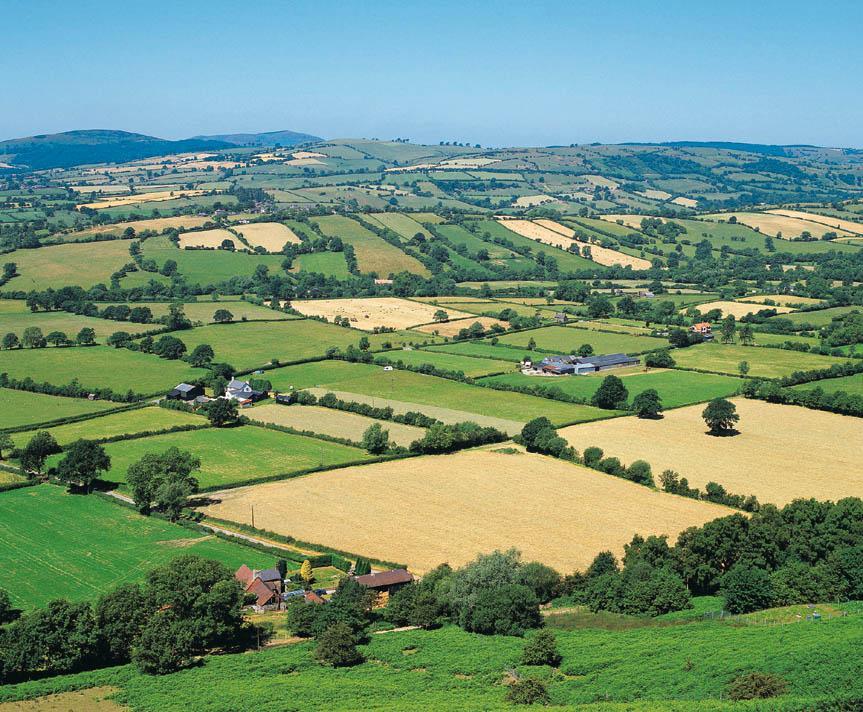 Food Climate Research Network, UK Land Strong actions are required to find new land and to cultivate and preserve the fertile land already available today: Farm concentration and cultivation
