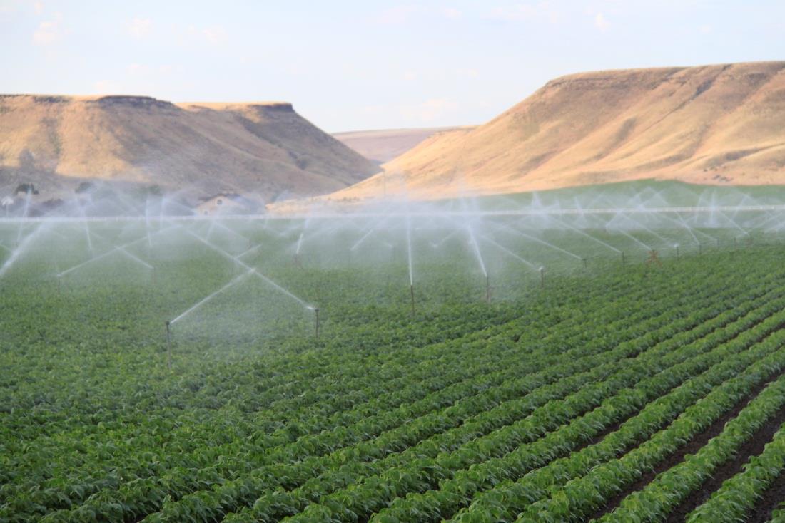 Water For irrigated land (20% of arable land, constantly growing), freshwater availability is a very critical issue, as water used by activities other than agriculture are increasing, as water
