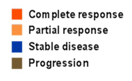 = 16 11 PD patients with progression of non-target lesions or new lesion not shown 60 patients with 2 or more prior lines