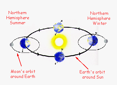 The Sun Earth orbits around the sun Completing its path every 365 days Earth s orbit is elliptical