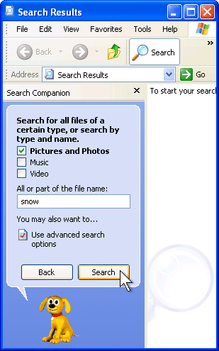 3. Based on the type of file you chose to search for, specify your