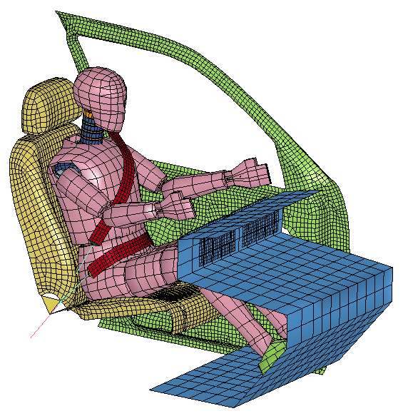 Dummy and Human Model for Seat Belt Design