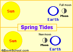 Spring Tide When the Earth, Moon and Sun are in line, the combined effect of the Moon's and Sun's pull on Earth's water is at its