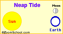 Neap Tide When the earth, moon and sun are at right angles to each other, the pull of the moon and the pull of the sun
