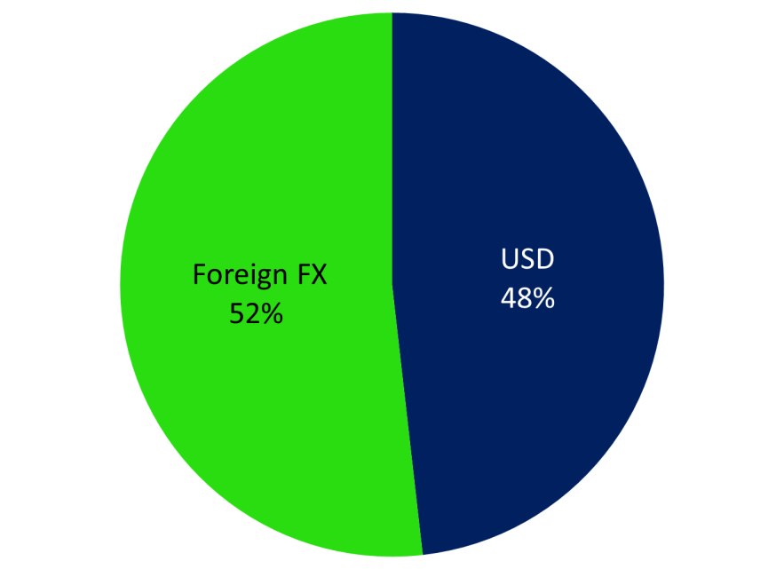Currency Exposure Currency exposure in MSCI ACWI 33 foreign FXs in MSCI ACWI Top 10 Currencies in MSCI ACWI Currency Weight (%) US Dollar 48.17 Euro 10.52 Pound Sterling 8.10 Japanese Yen 7.