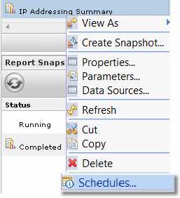 Scheduling a report snapshot Right-click a report name Select Schedules from the menu Click Schedule Snapshot Enter Report Parameters 9