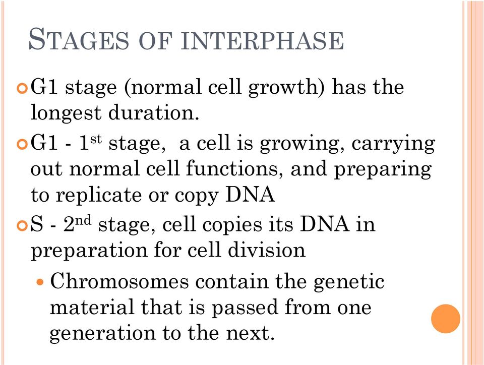 to replicate or copy DNA S - 2 nd stage, cell copies its DNA in preparation for cell