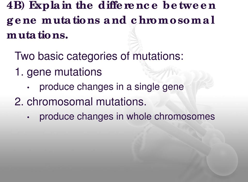 Two basic categories of mutations: 1.