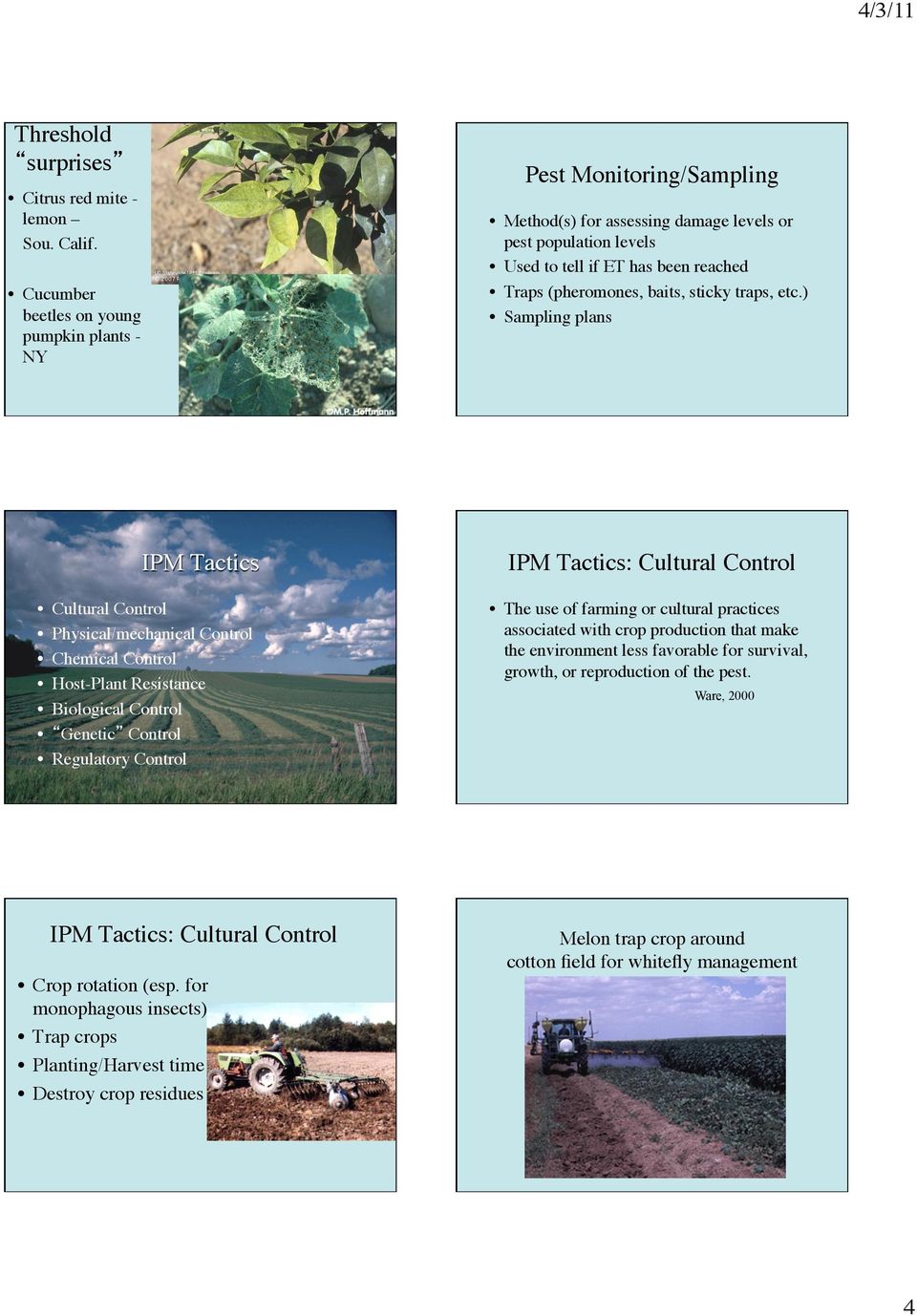 ) Sampling plans Cucumber beetles on young pumpkin plants NY IPM Tactics Cultural Control Physical/mechanical Control Chemical Control Host-Plant Resistance Biological Control Genetic Control