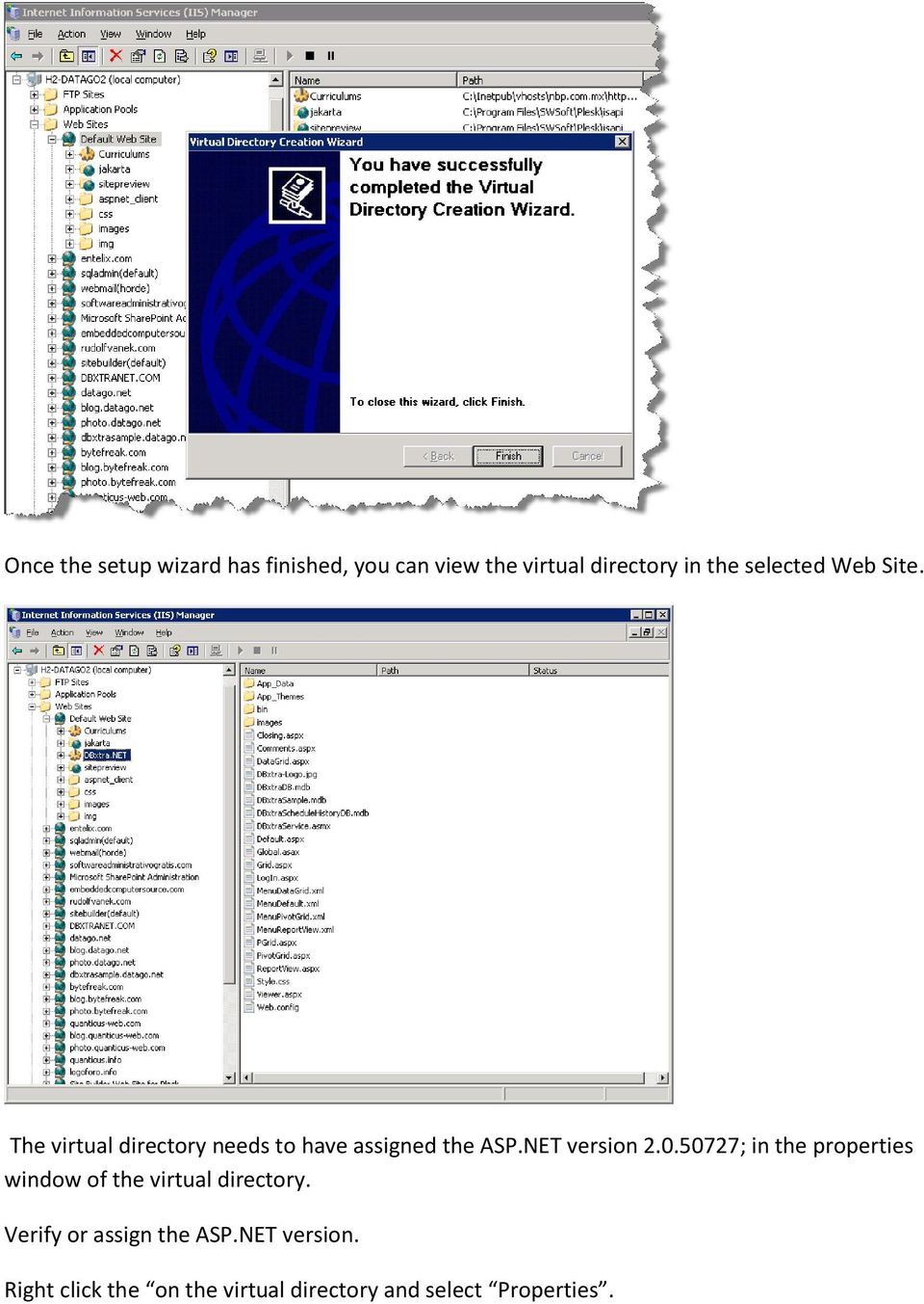 NET version 2.0.50727; in the properties window of the virtual directory.