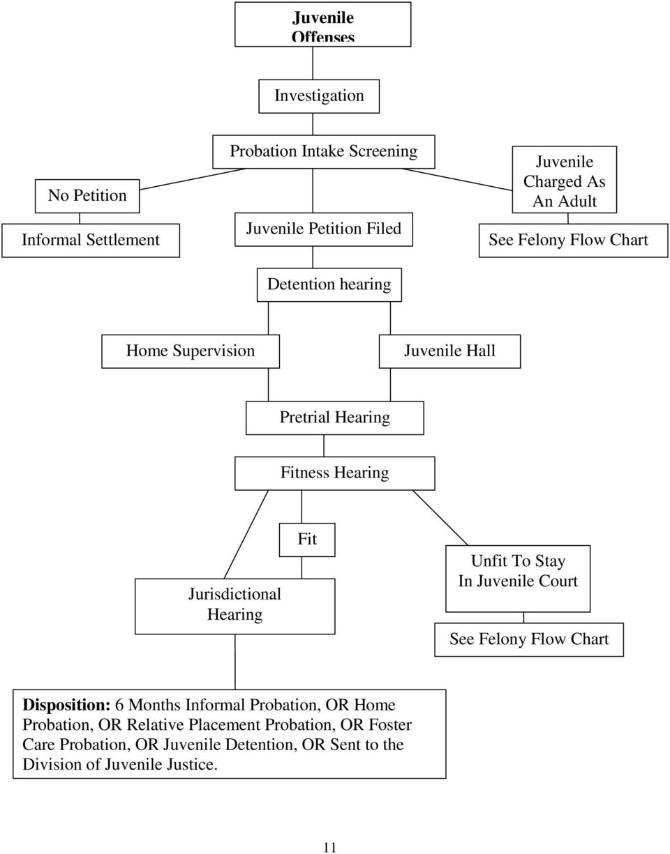 Jurisdictional Hearing Fit Unfit To Stay In Juvenile Court See Felony Flow Chart Disposition: 6 Months Informal Probation, OR