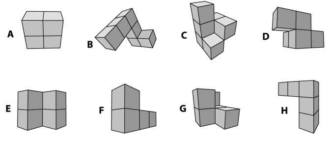 Example: The student is show a 3 D shape and asked to fold it (in his mind) and the select the resulting shape from the options below.