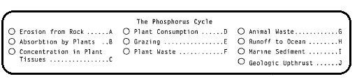 THE PHOSPHORUS CYCLE Although nitrogen and carbon exist as gases, certain elements that cycle in the biosphere do not exist in gaseous form.