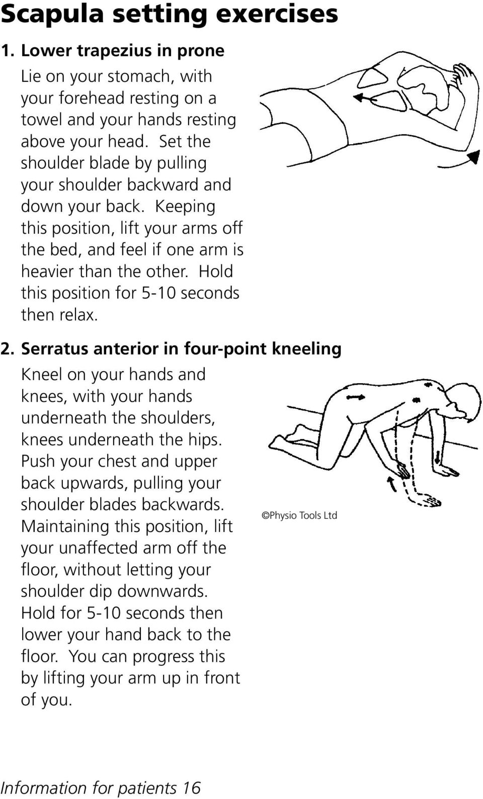 Hold this position for 5-10 seconds then relax. 2. Serratus anterior in four-point kneeling Kneel on your hands and knees, with your hands underneath the shoulders, knees underneath the hips.