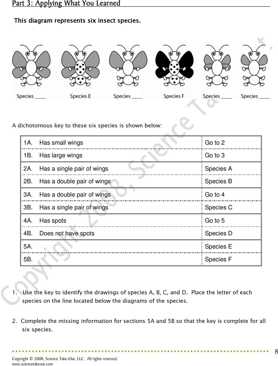 What is it? Dichotomous Keys Teacher Information - PDF Free Download For Dichotomous Key Worksheet Middle School