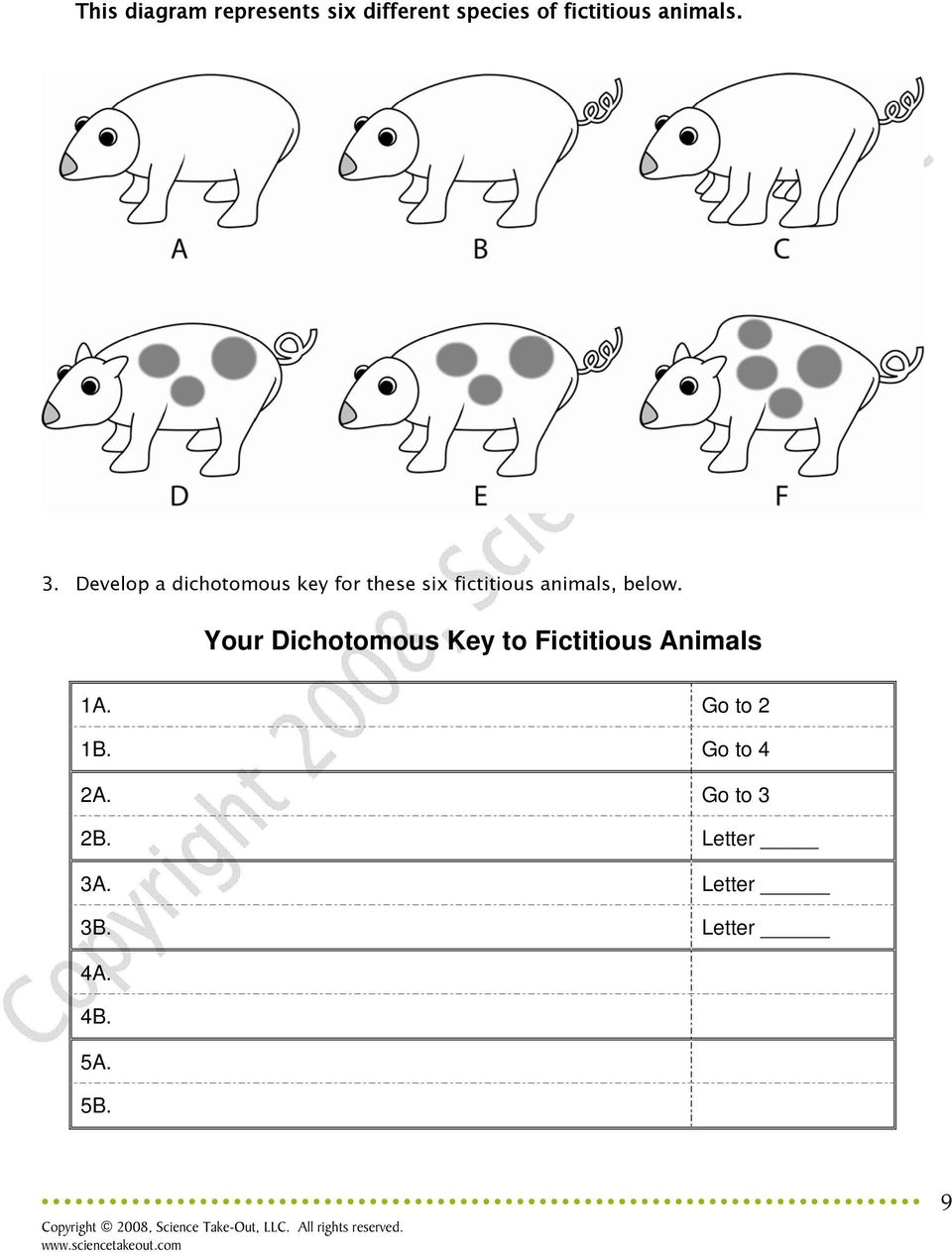 What is it? Dichotomous Keys Teacher Information - PDF Free Download Inside Dichotomous Key Worksheet Middle School