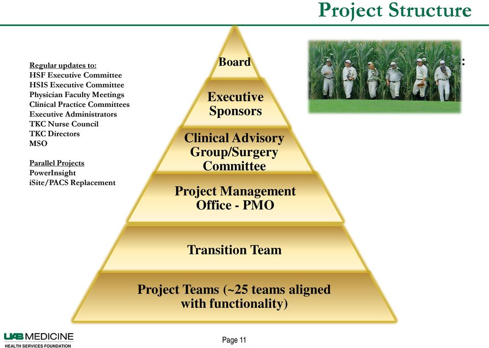 Projects PowerInsight isite/pacs Replacement Board Executive Sponsors Clinical Advisory Group/Surgery Committee