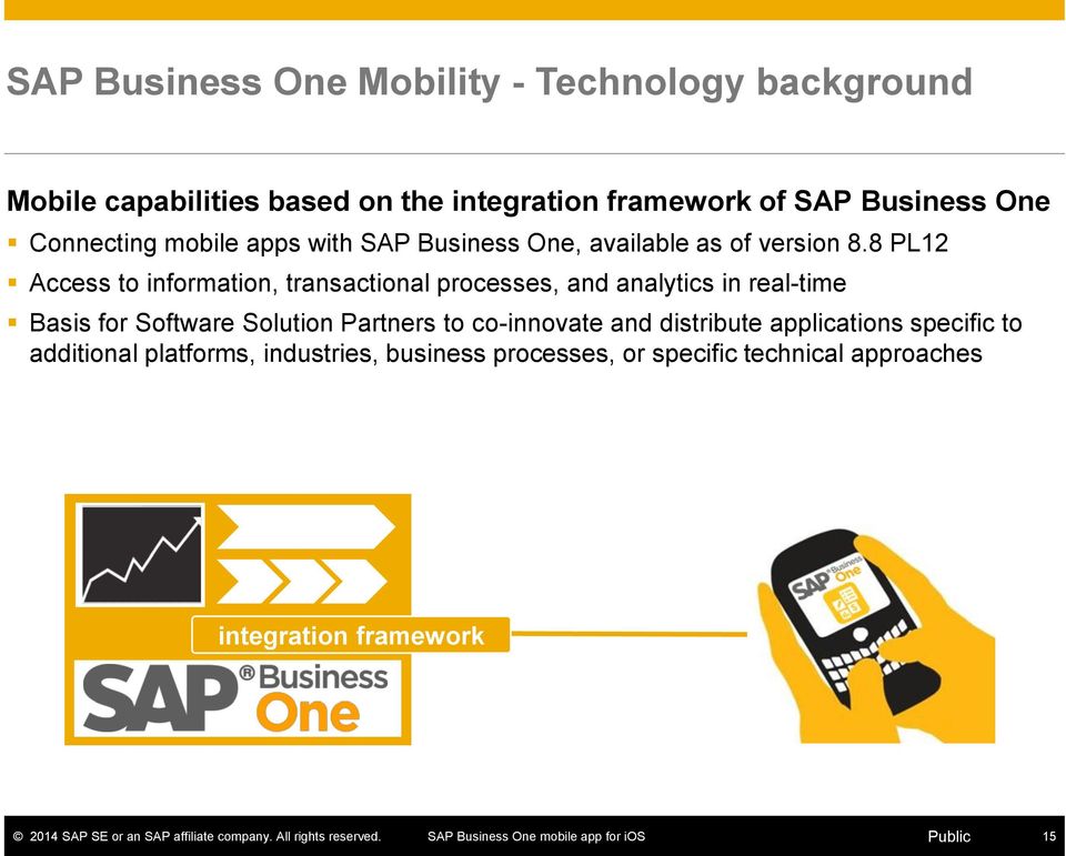 8 PL12 Access to information, transactional processes, and analytics in real-time Basis for Software Solution Partners