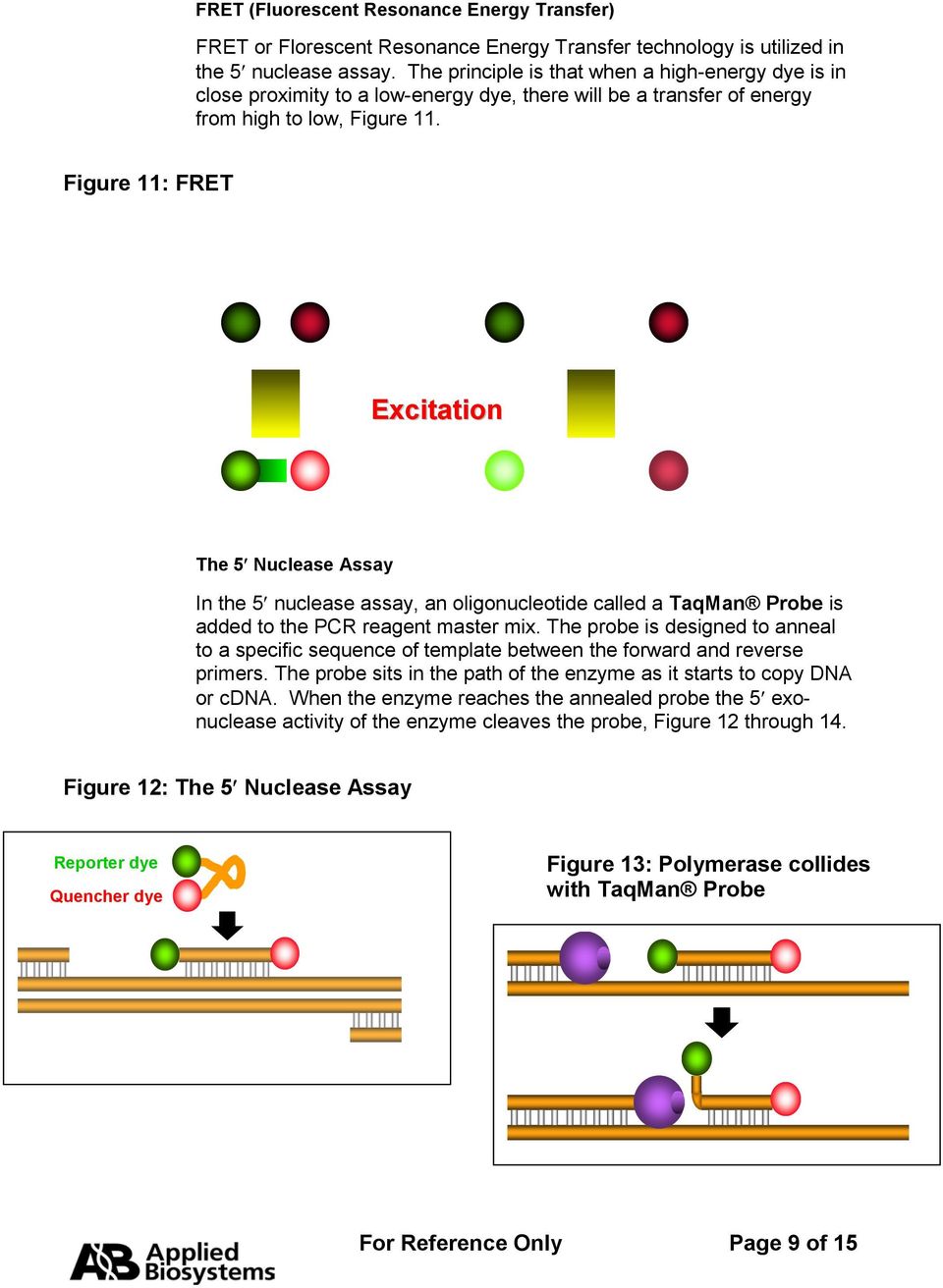 Figure 11: FRET Excitation The 5 Nuclease Assay In the 5 nuclease assay, an oligonucleotide called a TaqMan Probe is added to the PCR reagent master mix.