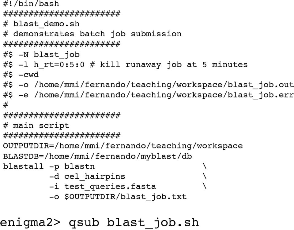 /home/mmi/fernando/teaching/workspace/blast_job.out #$ -e /home/mmi/fernando/teaching/workspace/blast_job.