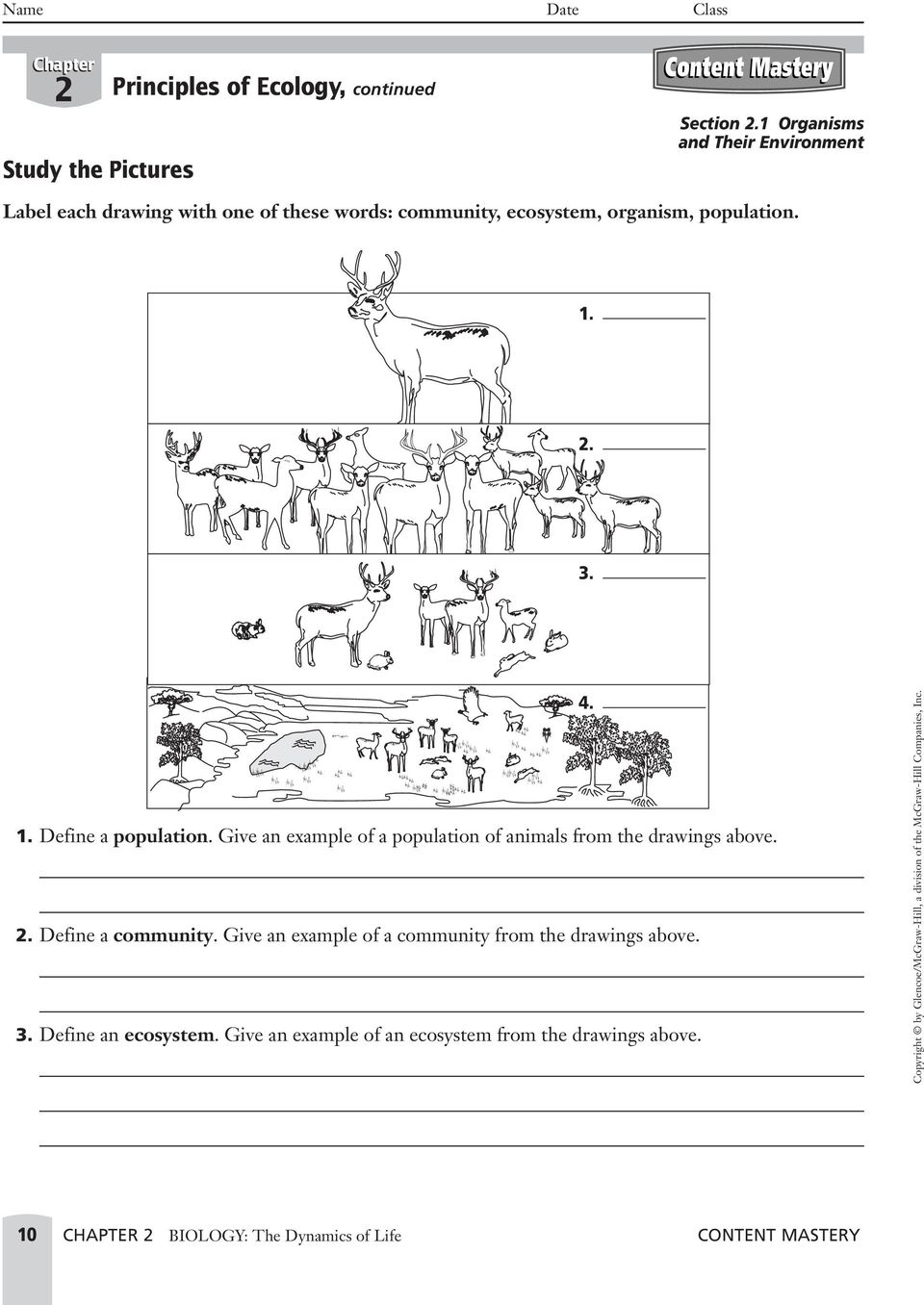 Chapter 11 Principles Of Ecology Worksheet Answers With Principles Of Ecology Worksheet Answers