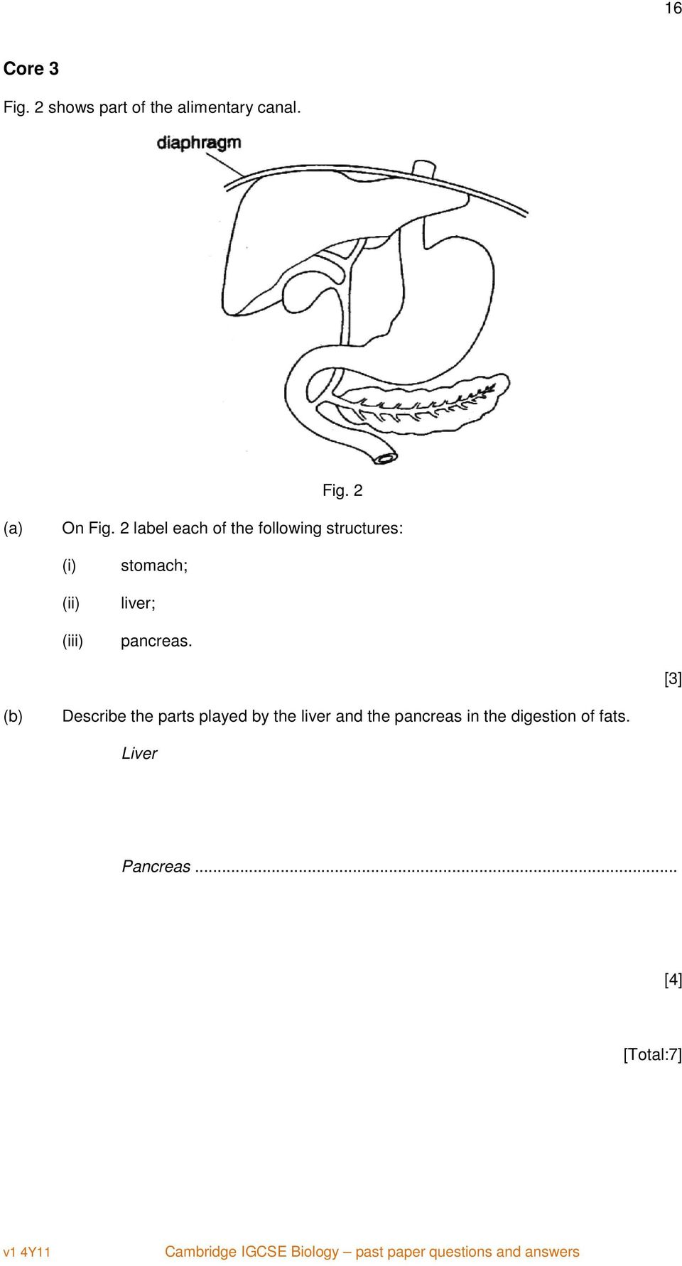 Cambridge IGCSE Biology (0610) Past paper questions and answers - PDF Free  Download