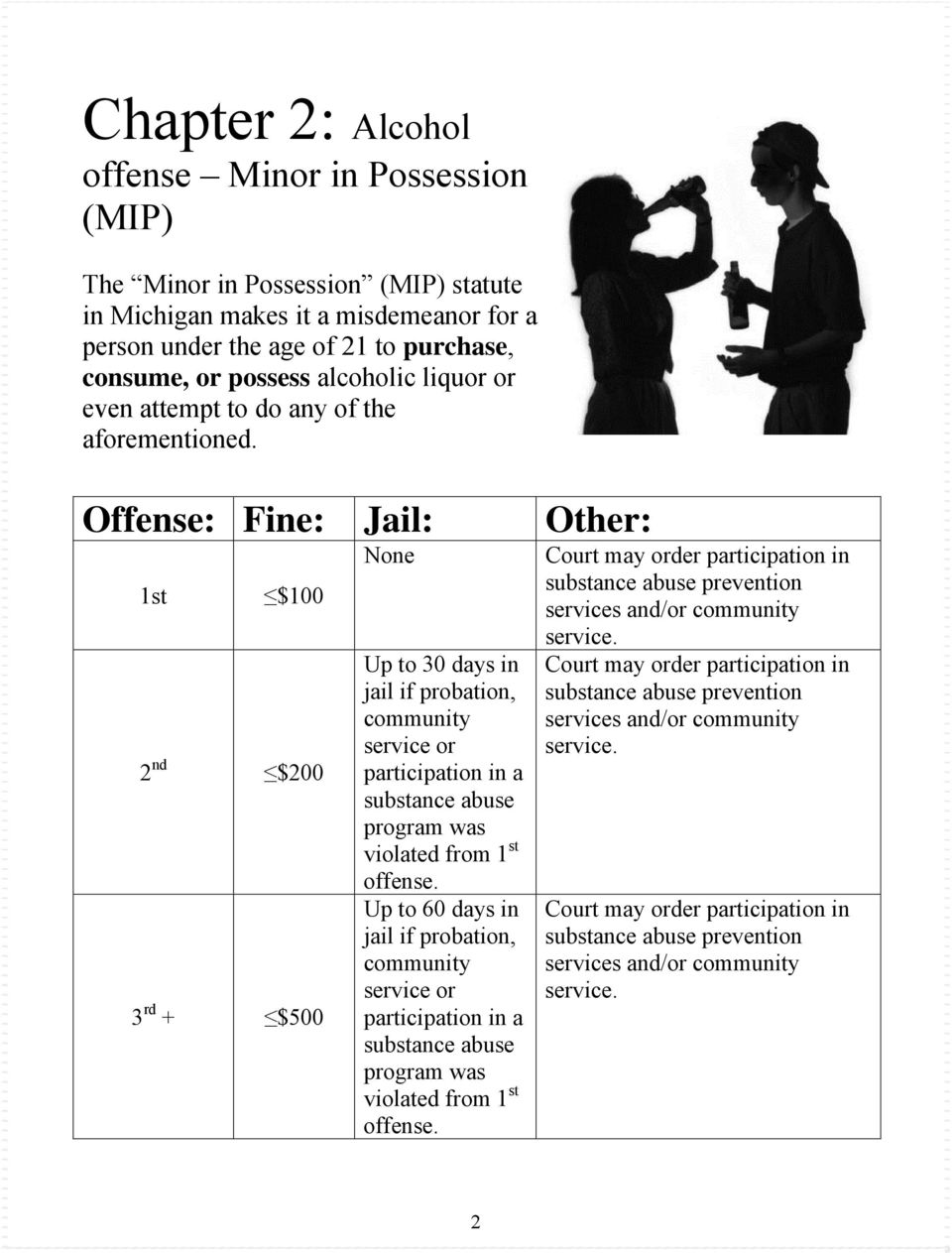 Offense: Fine: Jail: Other: 1st $100 2 nd $200 3 rd + $500 None Up to 30 days in jail if probation, community service or participation in a program was violated from 1 st offense.