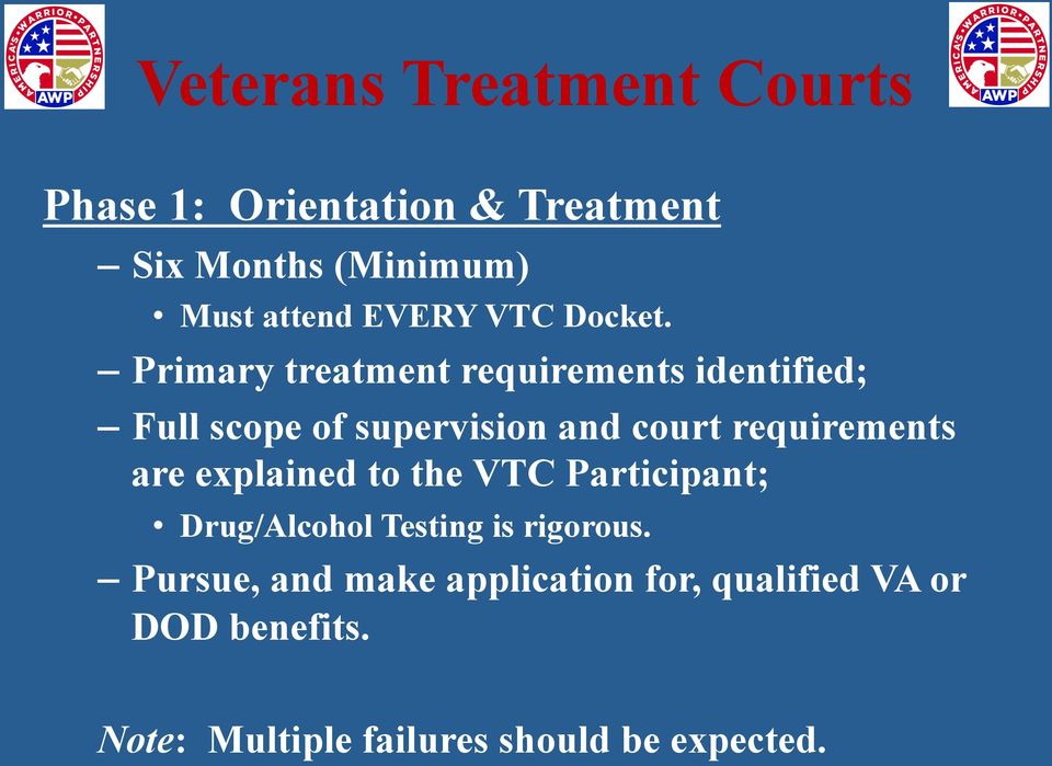 requirements are explained to the VTC Participant; Drug/Alcohol Testing is rigorous.