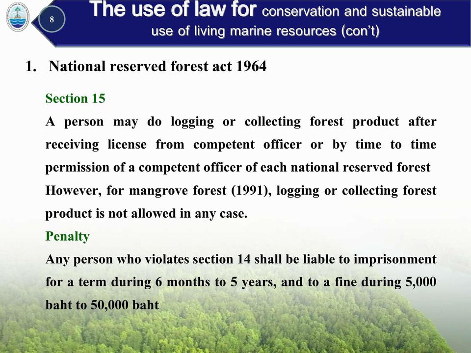 However, for mangrove forest (1991), logging or collecting forest product is not allowed in any case.