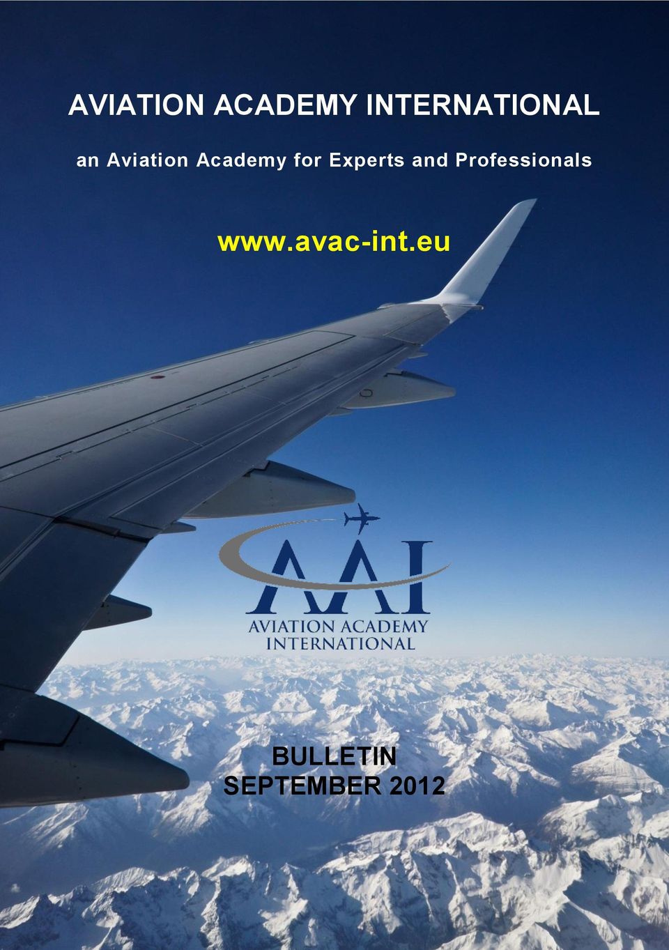 Academy for Experts and